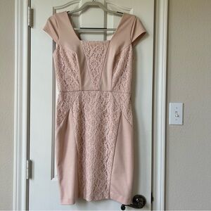 The Limited Soft Pink Lace Cap Sleeve Dress Size S